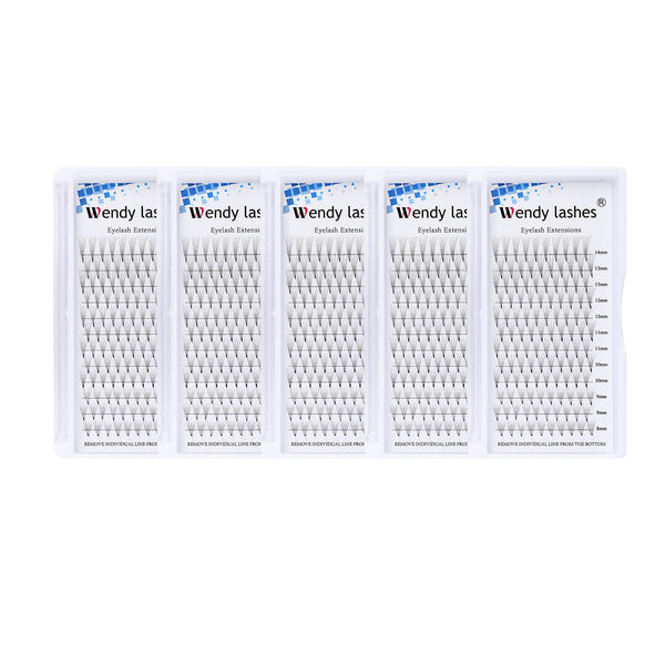 5Trays 5D Premade Fans Lashes Extension